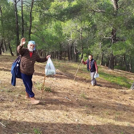 Birsin מלון דירות 3*